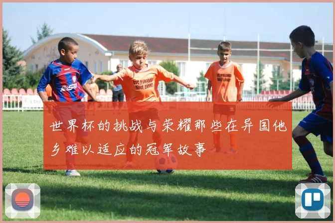 世界杯的挑战与荣耀那些在异国他乡难以适应的冠军故事
